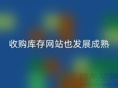 收购库存网站也逐渐的发展成熟-上海库存星空体育(中国)官方网站STAR SPORTS公司