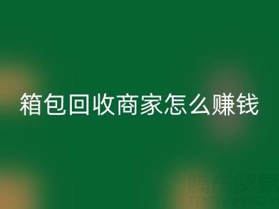 箱包星空体育(中国)官方网站STAR SPORTS商家怎么赚钱？如何运营？销售途径——星空体育(中国)官方网站STAR SPORTS箱包网