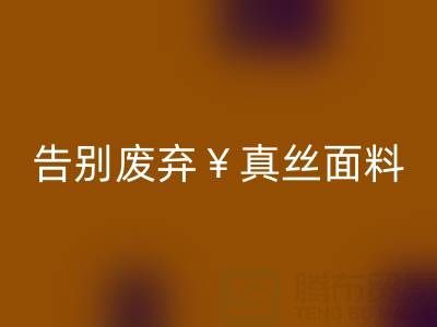 从此告别废弃真丝面料：星空体育(中国)官方网站STAR SPORTS平台帮你解决