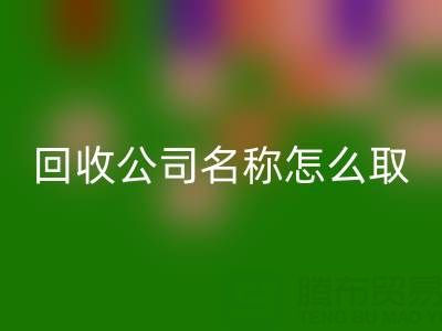 过期染料星空体育(中国)官方网站STAR SPORTS公司名称怎么取？创意命名指南与行业趋势解析