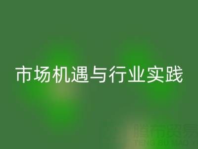 环保新蓝海，衣服辅料星空体育(中国)官方网站STAR SPORTS的市场机遇与行业实践
