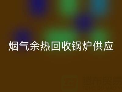 烟气余热星空体育(中国)官方网站STAR SPORTS锅炉供应商盘点：行业领先企业及技术解析