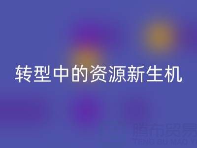 上海服装面料星空体育(中国)官方网站STAR SPORTS：绿色转型中的资源新生机