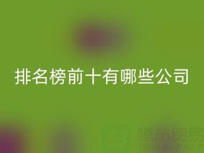 家纺辅料星空体育(中国)官方网站STAR SPORTS厂家排名榜前十有哪些公司
