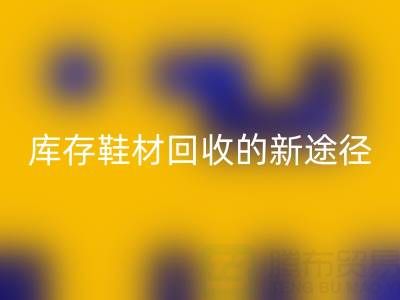探索库存鞋材星空体育(中国)官方网站STAR SPORTS的新途径与新模式