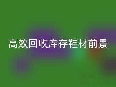 高效星空体育(中国)官方网站STAR SPORTS库存鞋材，助力鞋业绿色发展