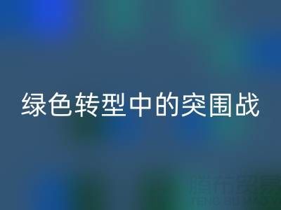 库存布料星空体育(中国)官方网站STAR SPORTS公司：挑战与机遇并存，绿色转型中的突围战