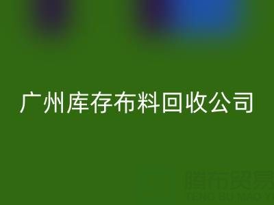 广州库存布料星空体育(中国)官方网站STAR SPORTS公司：纺织业绿色转型的践行者