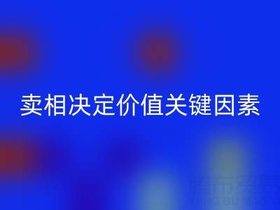 杭州真丝面料星空体育(中国)官方网站STAR SPORTS价格全解析：卖相决定价值的关键因素