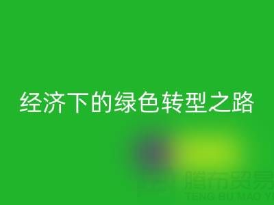 增塑剂、阻燃剂、氧化锌、增白剂星空体育(中国)官方网站STAR SPORTS：循环经济下的绿色转型之路