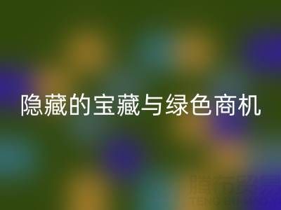 库存辅料星空体育(中国)官方网站STAR SPORTS市场：隐藏的宝藏与绿色商机