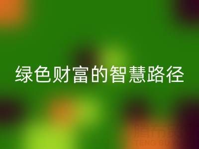 上海库存辅料星空体育(中国)官方网站STAR SPORTS方式：变”沉睡资产”为绿色财富的智慧路径
