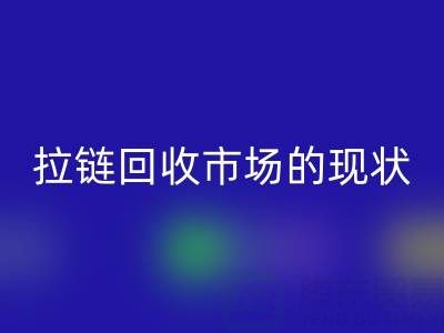 拉链星空体育(中国)官方网站STAR SPORTS市场的现状：机遇与挑战并存