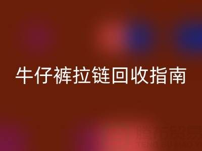 牛仔裤拉链星空体育(中国)官方网站STAR SPORTS指南：小行动，大环保