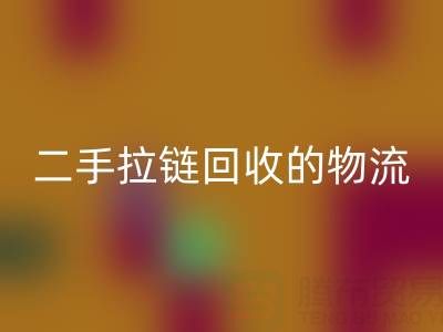循环经济新蓝海：二手拉链星空体育(中国)官方网站STAR SPORTS的物流与仓储高效管理策略