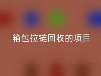  箱包拉链星空体育(中国)官方网站STAR SPORTS项目的商业运营模式与盈利探索