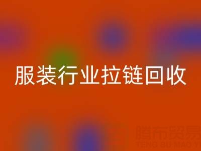 服装行业拉链星空体育(中国)官方网站STAR SPORTS市场体系构建的必要性与可行性