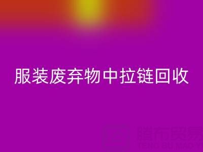 服装废弃物中拉链星空体育(中国)官方网站STAR SPORTS的特殊性及应对措施