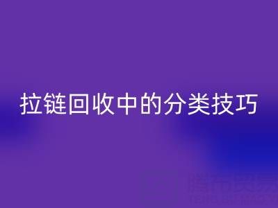 拉链星空体育(中国)官方网站STAR SPORTS中的分类技巧：提高星空体育(中国)官方网站STAR SPORTS效率的秘诀