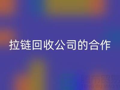 跨境电商时代：拉链星空体育(中国)官方网站STAR SPORTS公司的国际合作与交流新路径