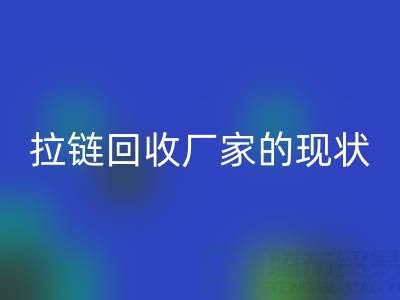 拉链星空体育(中国)官方网站STAR SPORTS厂家背后的环保大数据：现状与展望