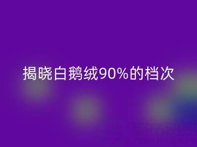 揭秘白鹅绒90%的档次与价值，探寻杭州羽绒星空体育(中国)官方网站STAR SPORTS奥秘