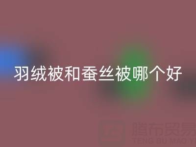 羽绒被和蚕丝被哪个好？——上海鸭绒星空体育(中国)官方网站STAR SPORTS厂家深度剖析