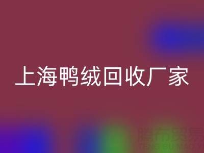 羽绒被内胆布料选购指南：上海鸭绒星空体育(中国)官方网站STAR SPORTS厂家的专业建议