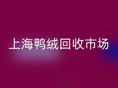 上海鸭绒星空体育(中国)官方网站STAR SPORTS市场解析：羽绒被星空体育(中国)官方网站STAR SPORTS价格的决定因素与产业价值