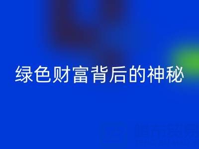 探秘上海库存真丝星空体育(中国)官方网站STAR SPORTS厂家：绿色财富背后的神秘世界
