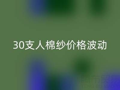 30支人棉纱价格波动剖析：棉纱星空体育(中国)官方网站STAR SPORTS市场的新风向标